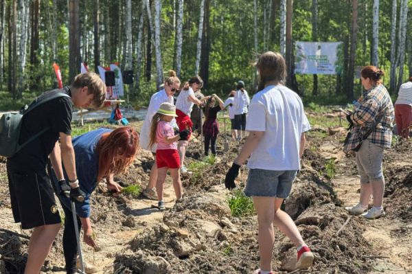 В Свердловской области заложили мемориальную рощу-геоглиф в честь 80-летия Победы