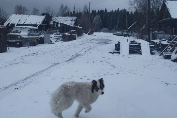 На севере снег, на юге талые воды: погода в Свердловской области меняется от аномально-теплой к промозглой