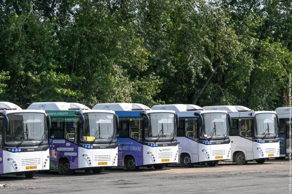 В Нижнем Тагиле увеличат число муниципальных автобусов на городских маршрутах
