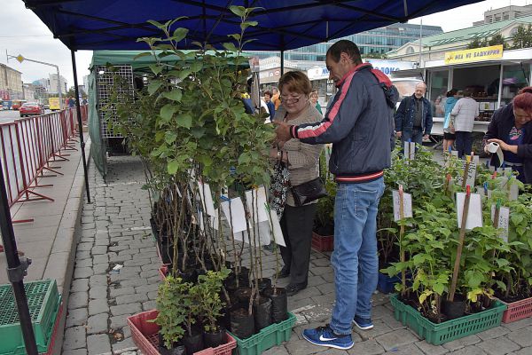 В свердловских городах будут проводиться ярмарки выходного дня