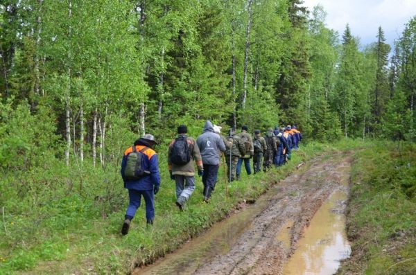 С начала года в лесах Свердловской области потерялся 21 человек