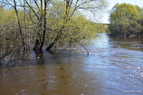 Муниципалитетам в Свердловской области угрожает паводок