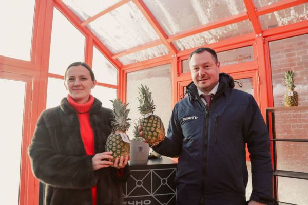 Оранжерея с ананасами стала частью туристического кода Сысерти