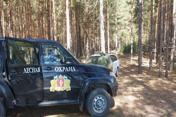 В Минприроды рассказали, как предотвратить нашествие медведей на населенные пункты