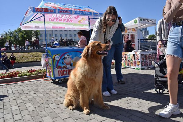 Жителям Екатеринбурга запретили выгуливать собак на набережных