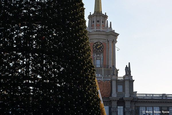 Бажовский лес в центре города: в середине ноября на площади 1905 года начнут строить ледовый городок