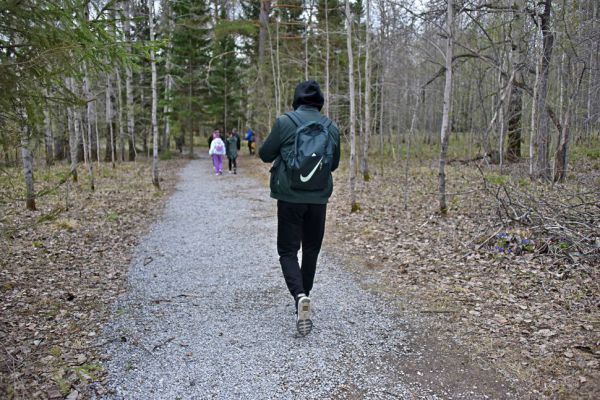 В выходные дни на Среднем Урале потеплеет до 20-23 градусов