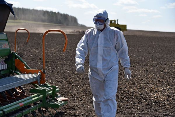 В Свердловскую область для спасения растений завезли насекомых