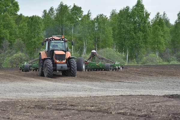 Ячмень уральской селекции дал рекордный урожай