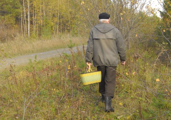Свердловские полицейские нашли заблудившегося в лесу грибника