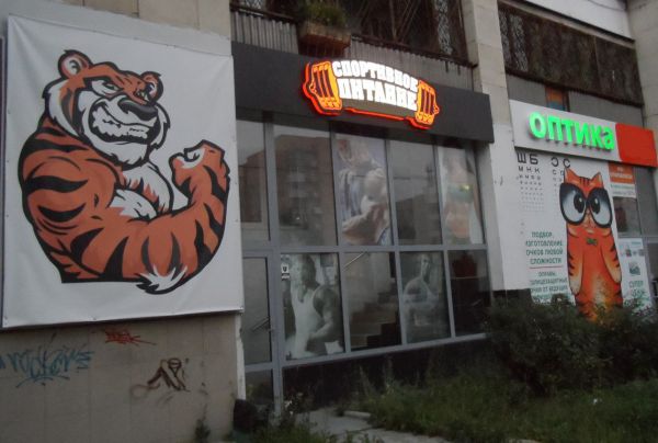 Бизнесмены «сдружили» кота и тигра