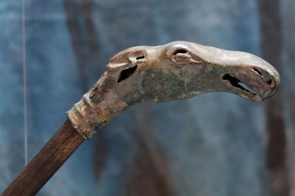 Учёные УрФУ передал новому музею в Сургуте 100 тысяч археологических находок