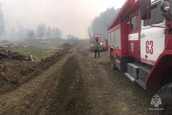 В Свердловской области площадь лесных пожаров за сутки сократилась вдвое