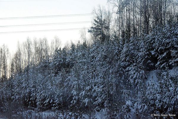 Синоптики: в декабре в Екатеринбурге будет тепло