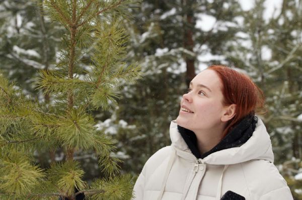 В России появилась интерактивная карта с нанесенными на нее бесплатными пунктами приема новогодних елок