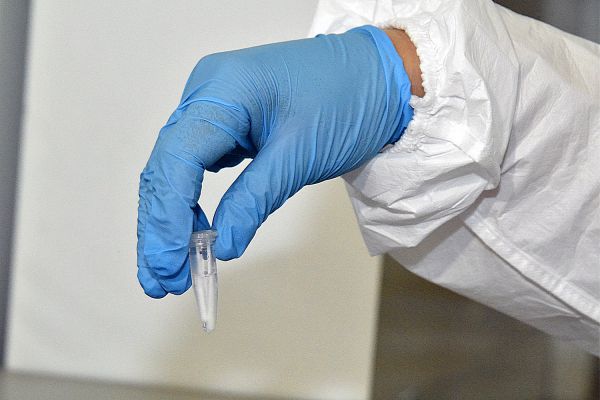 Не дотянул месяц:  микробиологи полгода испытывали на съедобность один шницель