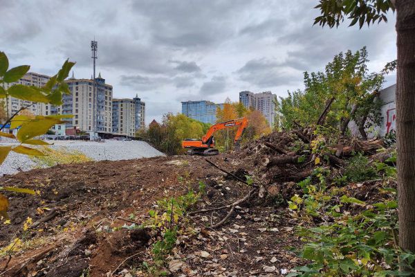 В Екатеринбурге активисты протестуют против строительных работ на берегу Исети