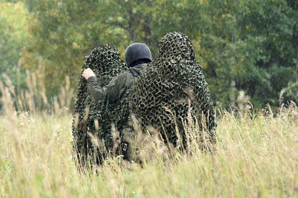 Двое жителей Ачита могут сесть на семь лет за незаконную вырубку сосен