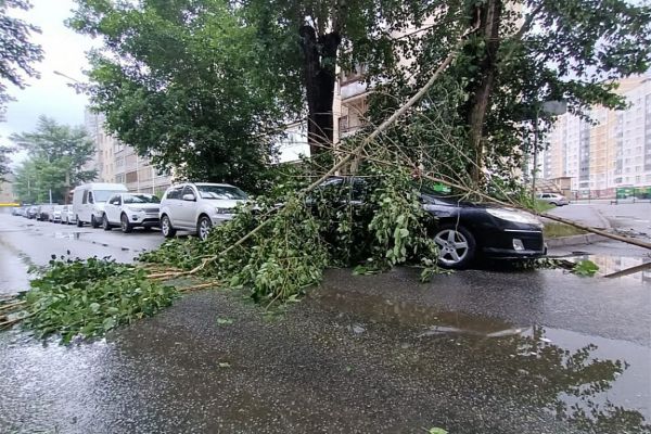 В Екатеринбурге устраняют последствия шквалистого ветра в выходные