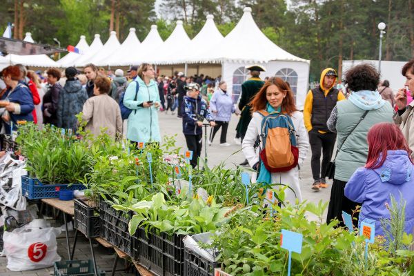 В Каменске-Уральском наградили победителей народной премии «Каменск выбирает»