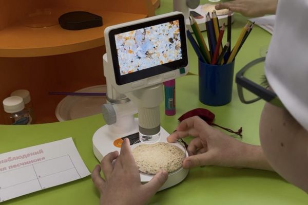 Выбрать профессию с детства: для дошколят запустили специальный проект