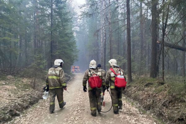 На Среднем Урале горят леса на площади более 1 тысячи гектаров