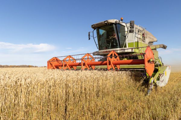 Уральцы массово идут учиться на трактористов: спрос подскочил в 5 раз