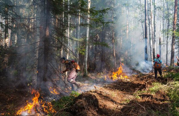 На тушение пожаров на Среднем Урале  потратили  1,2 млрд рублей