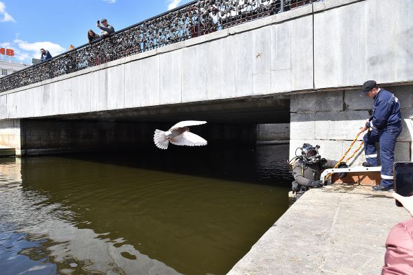 Водолазы обследовали бетонные конструкции городской плотины в Екатеринбурге. Фото