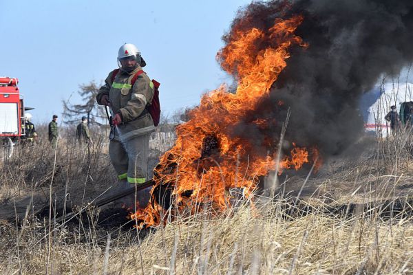 Ущерб от лесных пожаров в регионе в этом году вырос в полтора раза