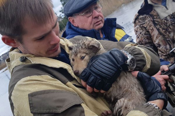 Во время поисков пропавшего жителя волонтеры выловили из воды мешок со щенками