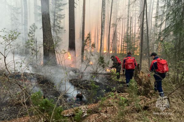За сутки на Среднем Урале погасили 14 лесных пожаров