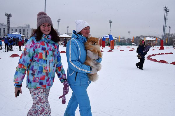 Свердловчане стали чаще страховать свою жизнь