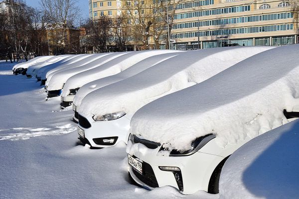 Прокуратура проверит информацию о незаконном захвате земли в центре Екатеринбурга