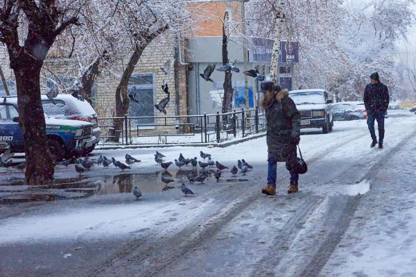 В Свердловской области на 17 ноября объявили штормовое предупреждение