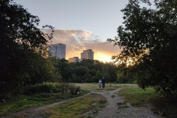 Власти Екатеринбурга одобрили застройку парка имени 50-летия ВЛКСМ