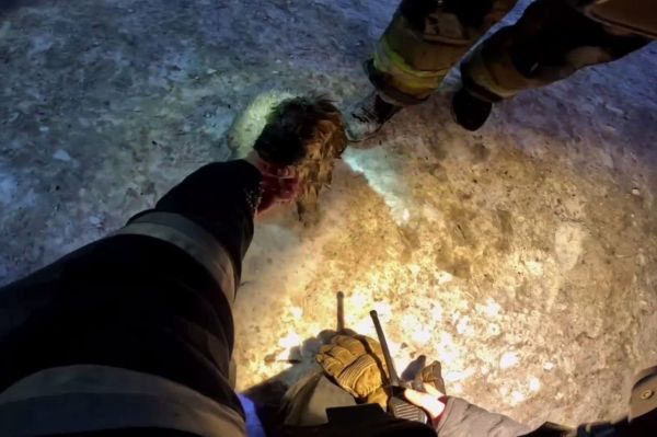 Пожарные Екатеринбурга вызволили из огня щенка