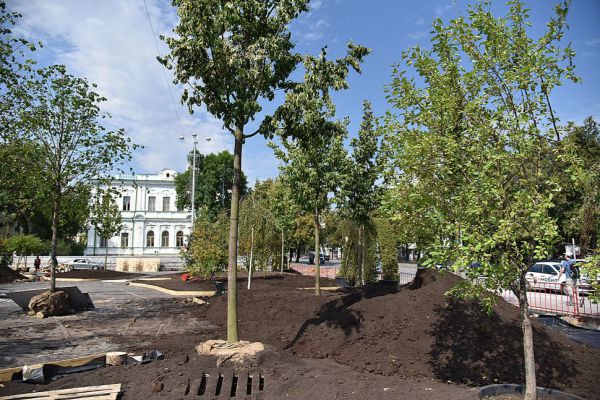 В Нижнем Тагиле посадят аллею из дубов, выращенных семьей горожан