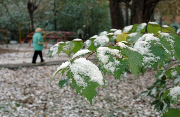 В выходные в Свердловской области ожидаются заморозки до –6