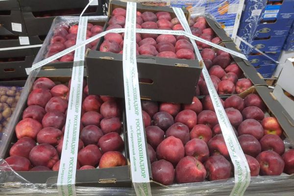 В Екатеринбурге уничтожили полтонны яблок, незаконно ввезенных в страну