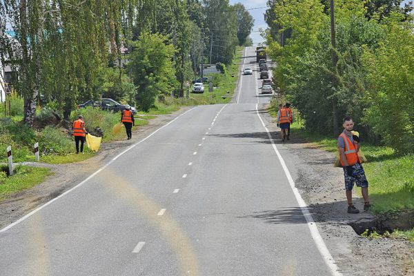 В Свердловской области выделят 1,6 млн рублей на подсчет торфа на месте строительства новой дороги