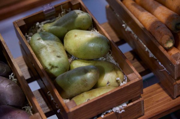 Почва для размышлений о секретах долголетия и эффективной защите организма от эндемических заболеваний