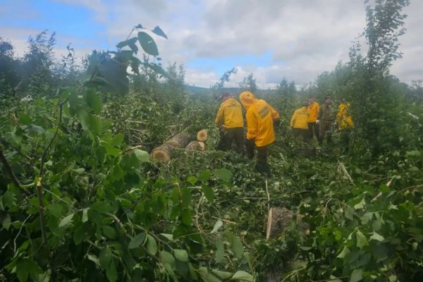 Специалисты обследуют леса в окрестностях Кушвы, пострадавшие от урагана