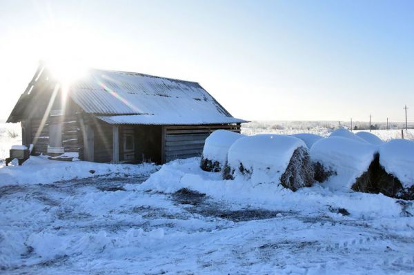 В декабре спрос на загородную недвижимость в Екатеринбурге вырос на 7%