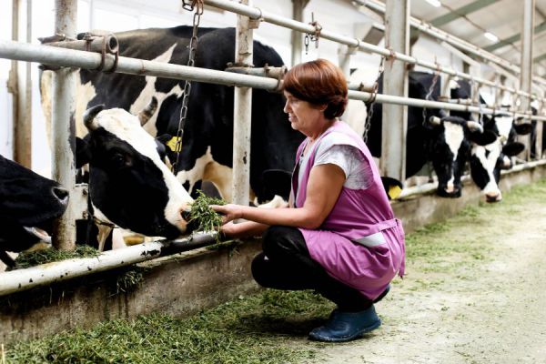 Женщины-фермеры в 2026 году получат международную поддержку