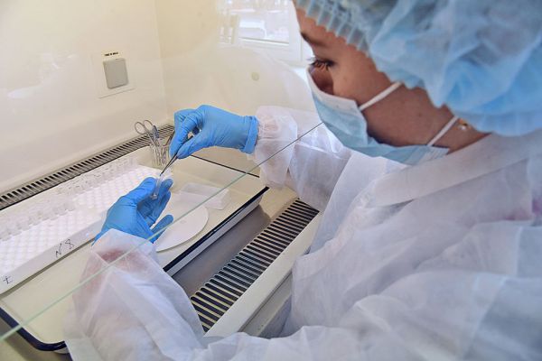 У трех жителей Среднего Урала подтвердился клещевой энцефалит