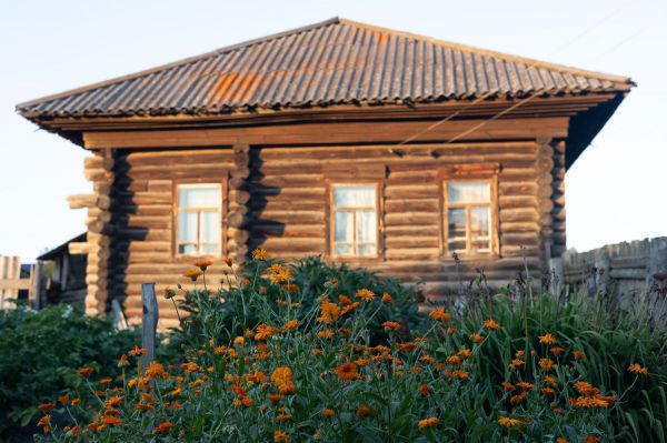 Дачная мода: свердловчане выбирают декоративные и практичные растения