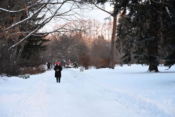 Рассказываем какие парки уральской столицы преобразились за последнее время