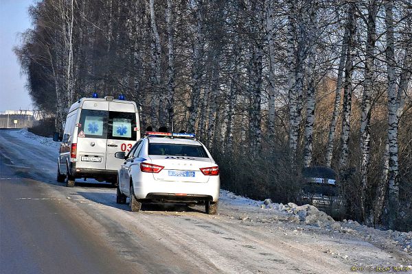 Пропавшего в Асбесте мужчину нашли мертвым в лесу