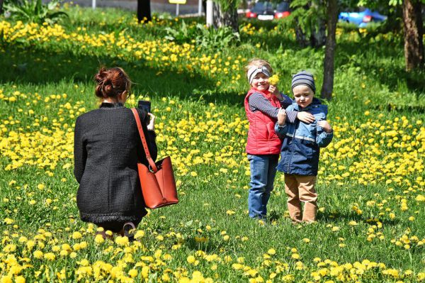 Погода в Екатеринбурге на этой неделе будет умеренно теплой